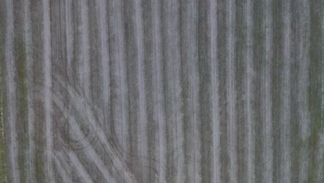 una toma aérea de arriba hacia abajo de una parcela de tierra agrícola recién cortada donde se cultiva maíz en frankfort kentucky acercándose al atardecer con un ambiente oscuro
