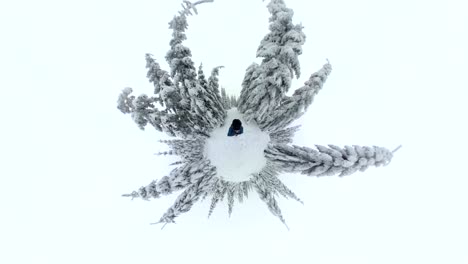 man walking through beautiful winter forest, vr360, 360vr, 360 video, 360 degree, vr, little planet effect