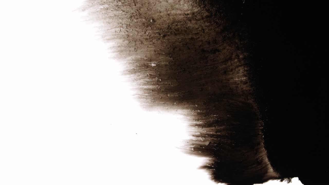 Black Ink Drops On White Background