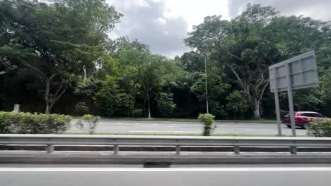 driving on the road lined with dense trees in singapore