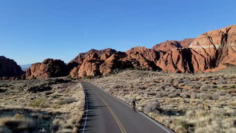 Toma-Aérea-De-Un-Ciclista-De-Carreras-Profesional-Montando-En-Una-Carretera-Rodeada-De-Montañas-Nevadas-Durante-El-Día-Soleado-Y-El-Cielo-Azul