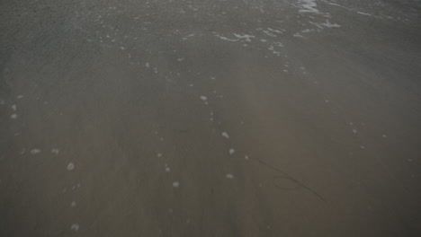 ocean waves crash over smooth sand on a beautiful california beach.