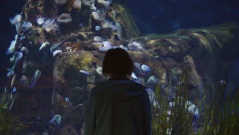 boy admiring the aquarium in the oceanarium