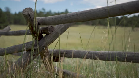 Slider-shot-of-tall-grass-in-front-of-wooden-fence-at-farm