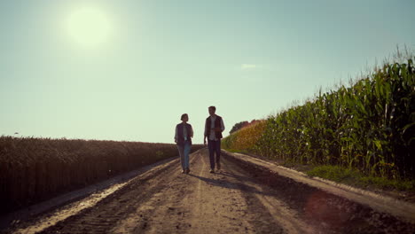 dos agricultores inspeccionando el campo de cosechas a la luz del sol. agrarios caminando por la carretera.