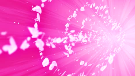 spiral shiny particle of cherry blossoms. sakura pattern. japanese cherry dancing. vortex from pink petals. abstract loop animation.