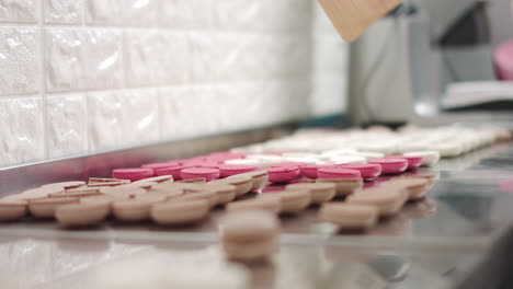 woman arranging macarons
