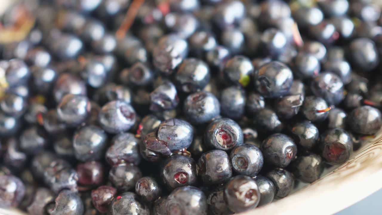 숲의 검은 과일, 야생 베리, 블루베리, 야생베리