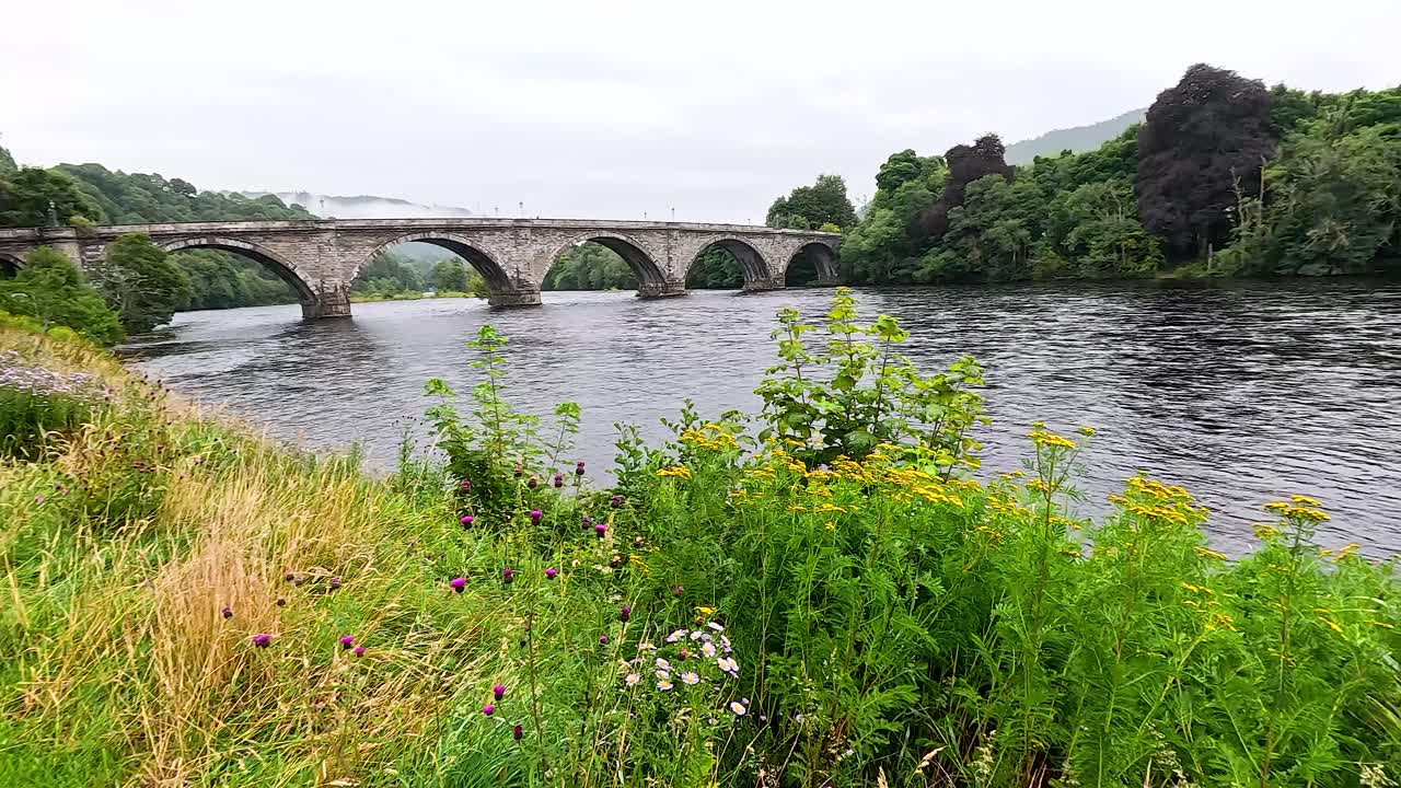 강과 다리와 함께 평화로운 자연 장면