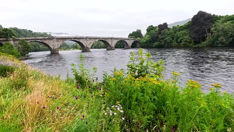 peaceful nature scene with river and bridge