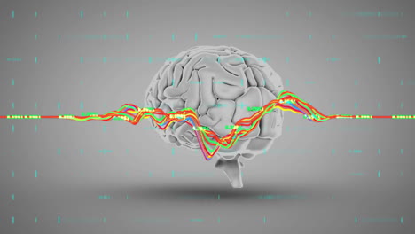 Animation-Mehrfarbiger-Graphen-Mit-Wechselnden-Zahlen-über-Dem-Menschlichen-Gehirn-Auf-Grauem-Hintergrund