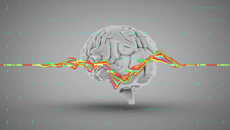 animación de gráficos multicolores con números cambiantes sobre el cerebro humano en fondo gris
