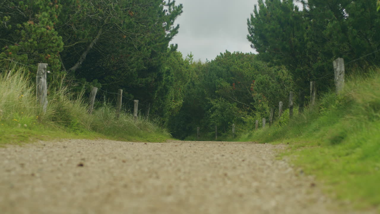 독일 산크트 피터 오딩 의 모래 언덕 근처 에 있는 전형적 인 작은 길 의 낮은 각도 촬영