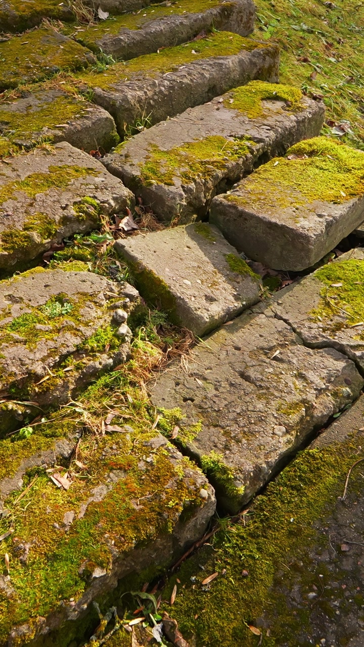 Close-up of uneven moss-covered stone steps in Cesis, Latvia, capturing aged walkway texture, weathered heritage masonry, and the slippery character of an old hillside path.