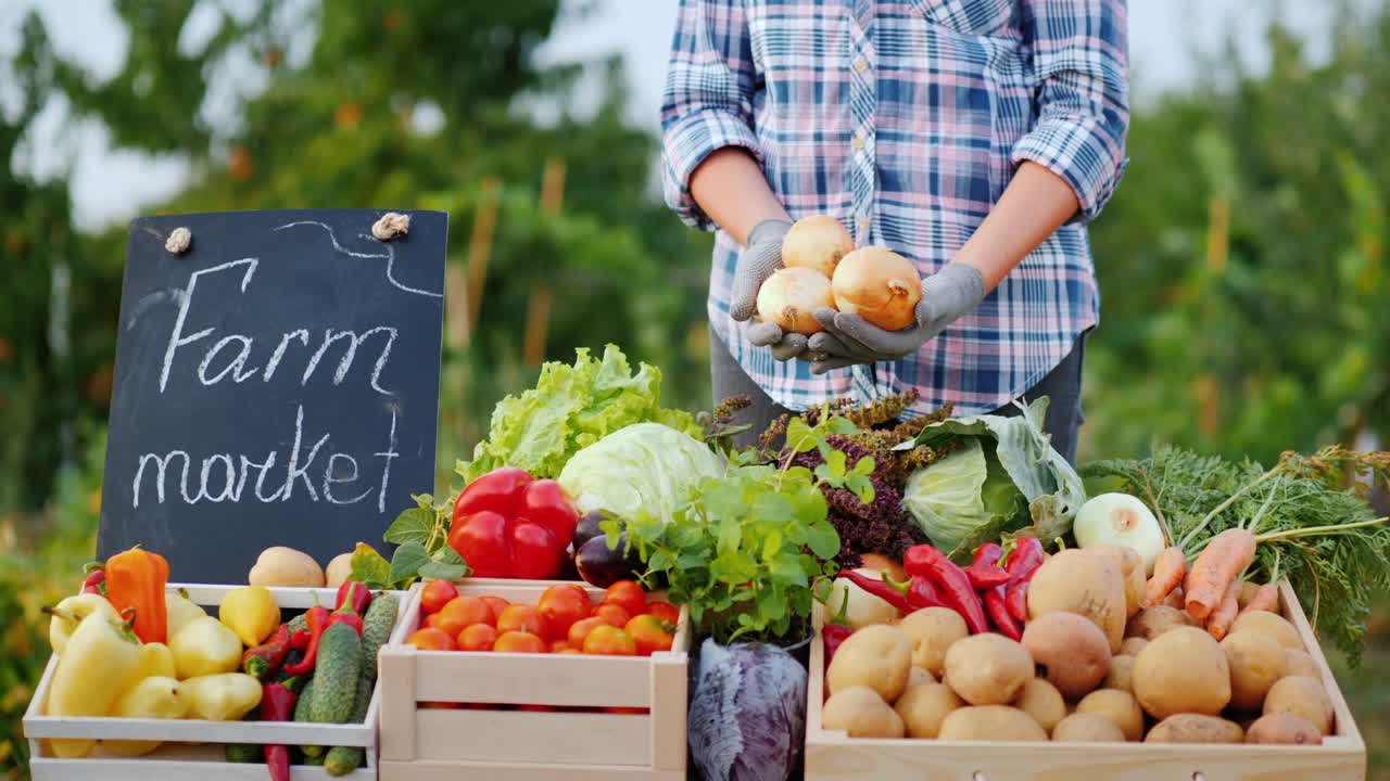 농부는 잘 익은 양파를 손에 들고 농부의 시장 카운터에 서 있다