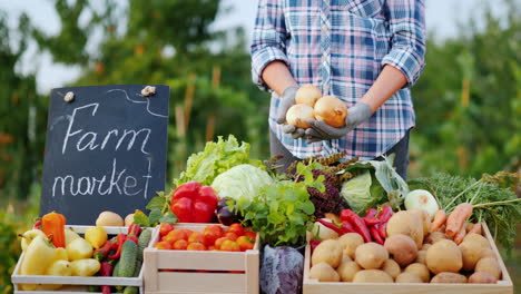 the farmer holds a ripe onion in his hands stands at the counter of the farmer's market