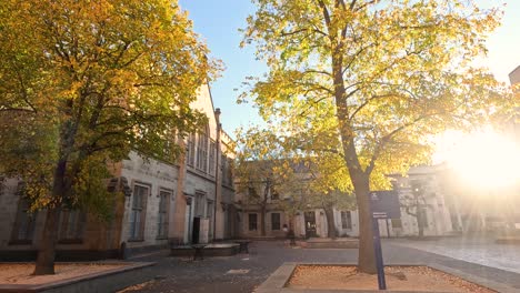 sun rising over university building and tree