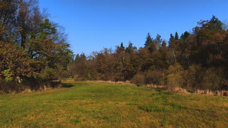 Scenic-autumn-view-at-park-with-trees-shot-by-drone-in-Cerknica,-Slovenia