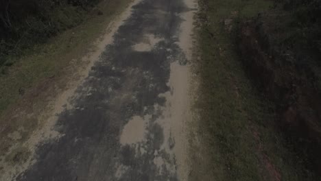 drone shot - revealing shot of a road in a jungle in sri lanka