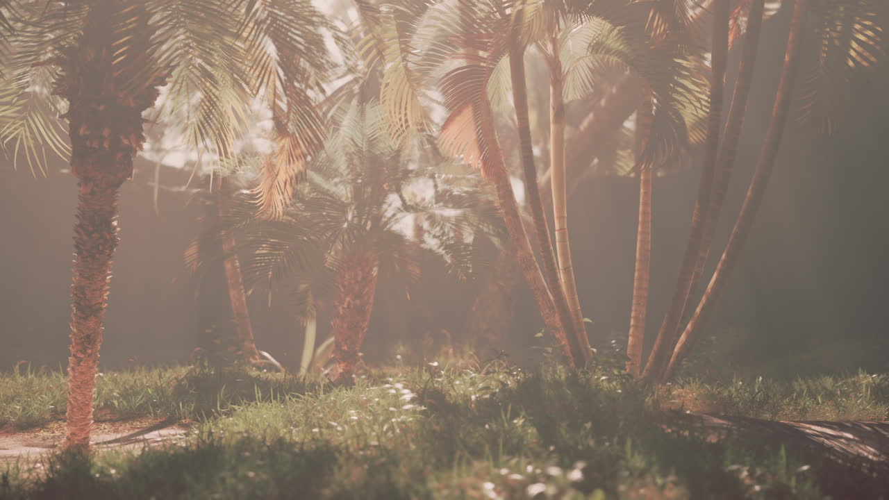 Tranquil Tropical Forest with Palm Trees