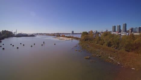 Aerial-4K-Island-in-Fraser-River-with-green-trees-city-of-new-westminster-in-background-blue-sky-bright-sunny-day