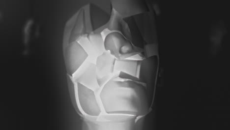 broken mannequin head shells in xray