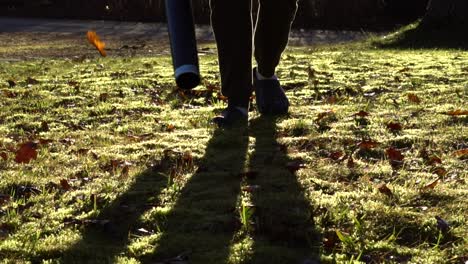 cinematic video of a man using a leaf blower on a lawn and getting it ready for winter