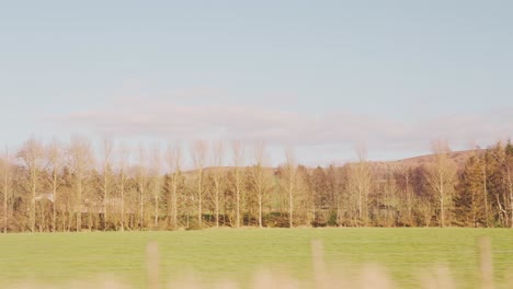 Granja-Rural-De-Bristol-Tierra-Verde-Desde-El-Interior-Del-Viaje-En-Tren-En-Un-Día-Soleado