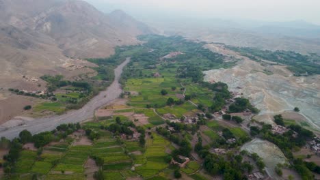 a lush green valley