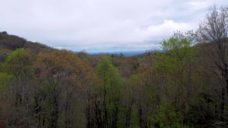 Blue-Ridge-Mountains,-Häuser-Im-Frühling-Mit-Berg-Im-Hintergrund