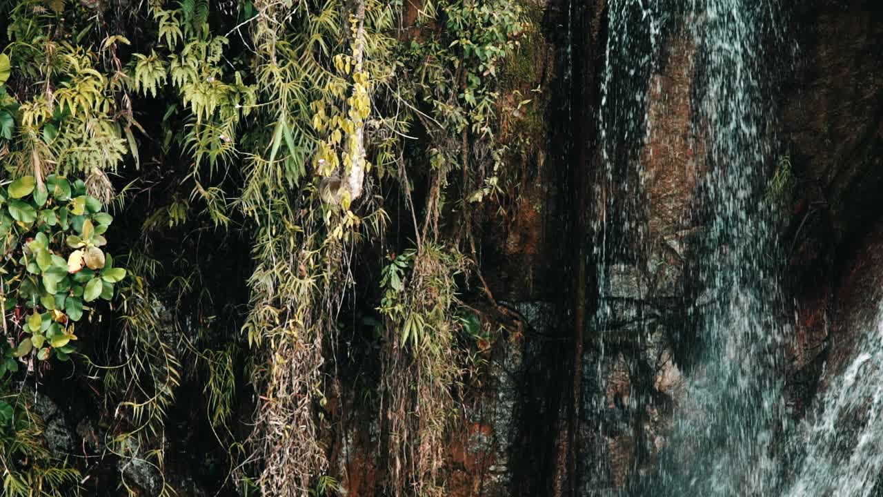 flujo de agua de un pequeño arroyo