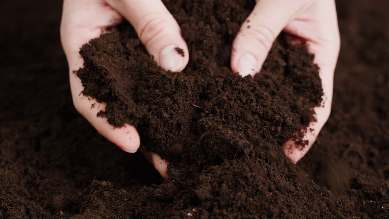 Hands Holding Soil