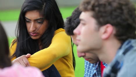 Studenten-Diskutieren-Auf-Dem-Rasen