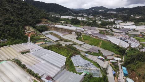 general landscape view of the brinchang district within the cameron highlands area of malaysia