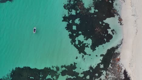 Vista-Aérea-A-Vista-De-Pájaro-Del-Barco-En-Una-Laguna-Tropical-Poco-Profunda-Junto-A-Una-Playa-De-Arena-Blanca-En-Un-Día-Soleado,-Point-Picquet,-Cape-Naturaliste,-Australia