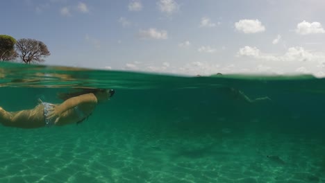 escena semisubmarina de una niña nadando en aguas cristalinas tropicales de la playa de palombaggia en la isla de córcega, francia