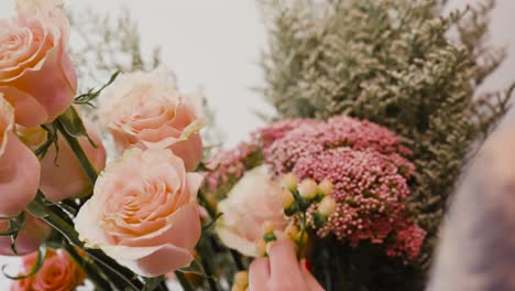 colocando hipérico en un ramo de rosas rosadas antes del día de san valentín
