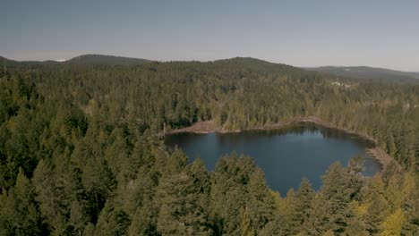 aerial view of serene lake surrounded by lush green forest