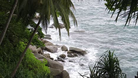 waves crashing on a rocky tropical coast with palm trees