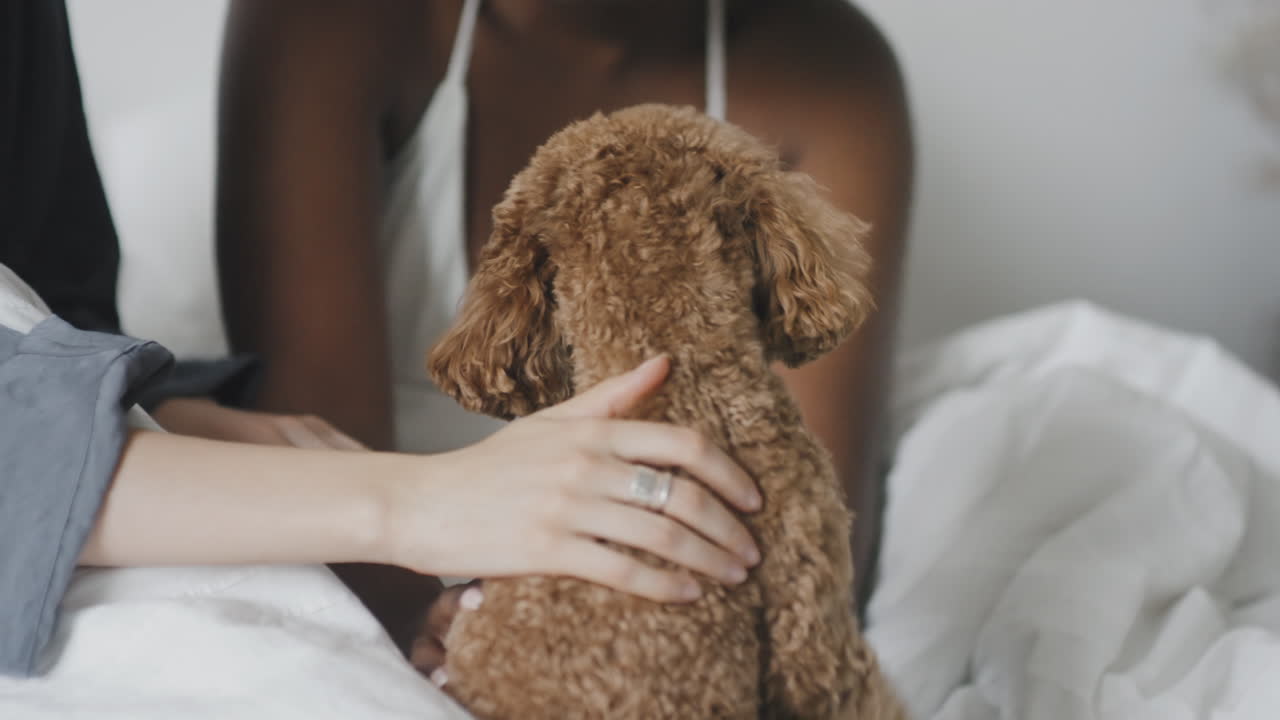 Happy Lesbian Couple Petting Dog in Bed