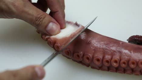 a chief cut a octopus for dinner, close up shot, insert shot