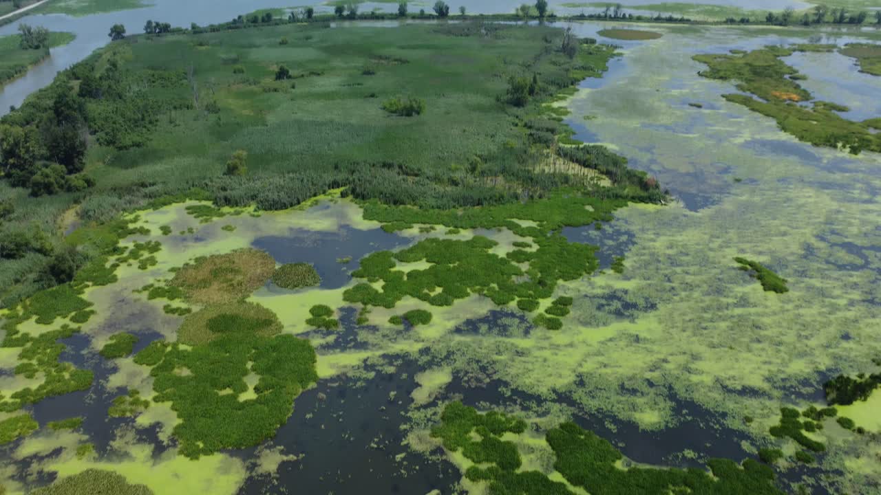 Wetland in Ontario Canada that is threatened by urban sprawl