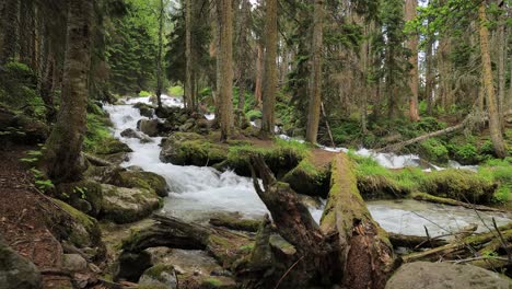 Río-De-Montaña-En-El-Bosque.-Hermoso-Paisaje-De-Vida-Silvestre.