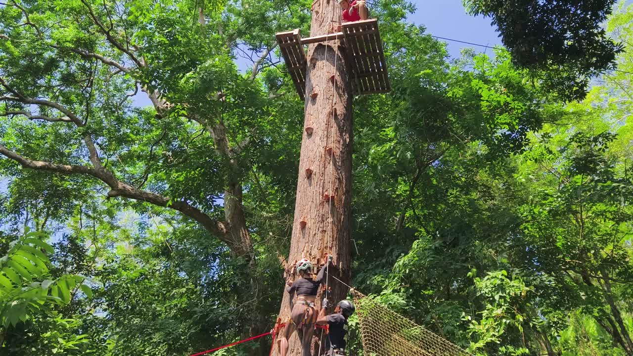 나무 꼭대기 모험 코스