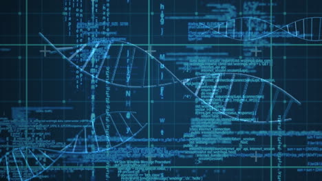 animación de cadenas de adn que giran sobre el procesamiento de datos y la cuadrícula.