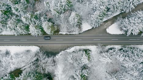 Directamente-Desde-Arriba---Un-Coche-De-Conducción-Rápida-Está-Acelerando-A-Través-De-Un-Paisaje-De-Bosque-Invernal-Con-Tomas-De-Arriba-Hacia-Abajo-De-árboles-Cubiertos-De-Nieve-Al-Lado-De-Una-Calle