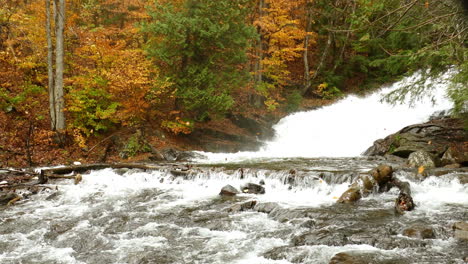 autumn forest scene with fallen leaves blowing in the wind above a cascading waterfall