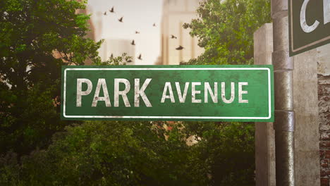 Park-avenue-with-fly-birds-and-big-buildings