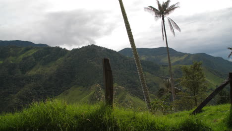 Camera-Walking-Along-Fence-Looking-Over-View-at-Cocora-Valley