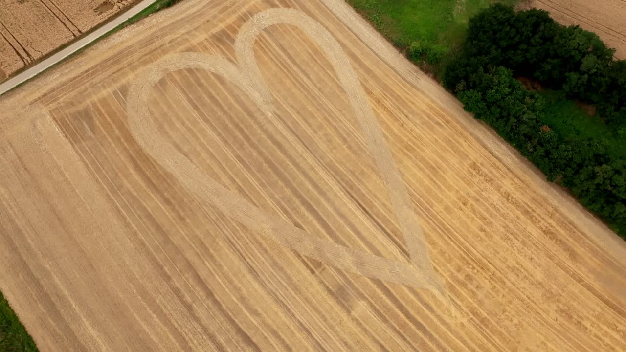 patrón de corazón en el campo de grano amarillo - disparo aéreo de dron
